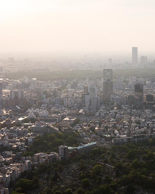 allergies-are-very-common